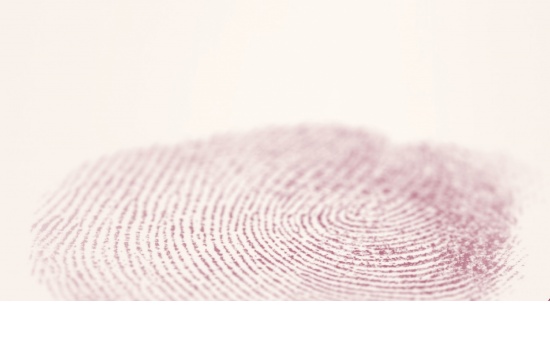Fingerprint - Gesamtangebot mit Preisen unter www.jewel-concepts.de  
